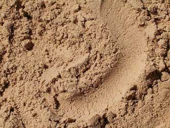 Сфера и области применения песка